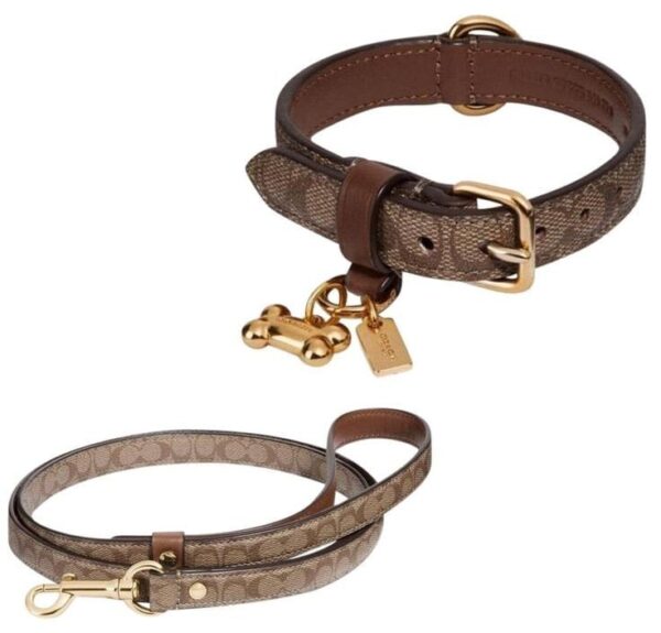 Premium Leather Pet Collar - Image 2