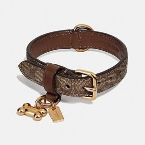 Premium Leather Pet Collar