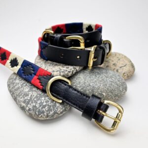 Leather Pet Accessories