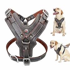Premium Leather Pet Collar